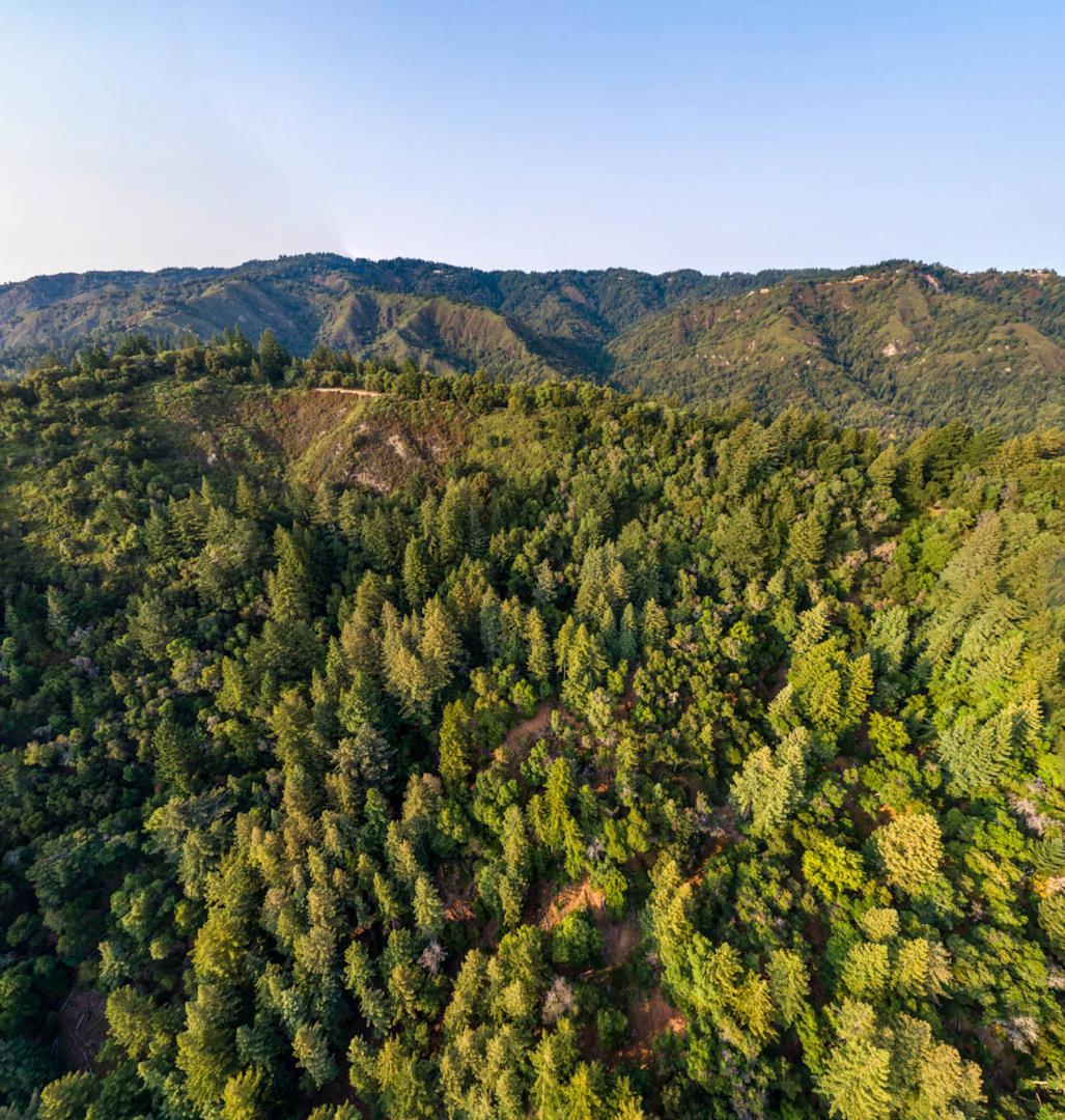 089-011-04 Skyview Road, BOULDER CREEK, California 95006, ,Lots And Land,For Sale,Skyview Road,40965310