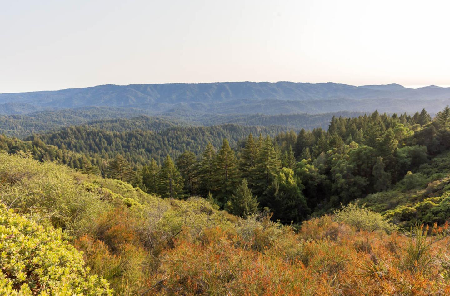 089-011-04 Skyview Road, BOULDER CREEK, California 95006, ,Lots And Land,For Sale,Skyview Road,40965310