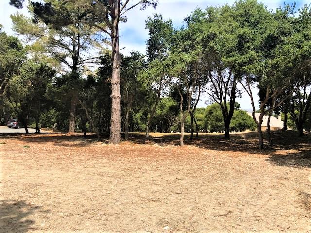 7830 Monterra Oaks Road (Lot 104), MONTEREY, California 93940, ,Lots And Land,For Sale,Monterra Oaks Road (Lot 104),40964936