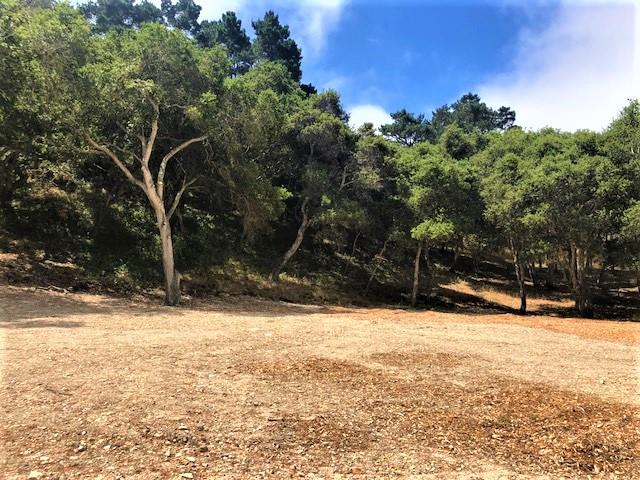 7830 Monterra Oaks Road (Lot 104), MONTEREY, California 93940, ,Lots And Land,For Sale,Monterra Oaks Road (Lot 104),40964936