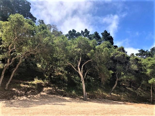 7830 Monterra Oaks Road (Lot 104), MONTEREY, California 93940, ,Lots And Land,For Sale,Monterra Oaks Road (Lot 104),40964936