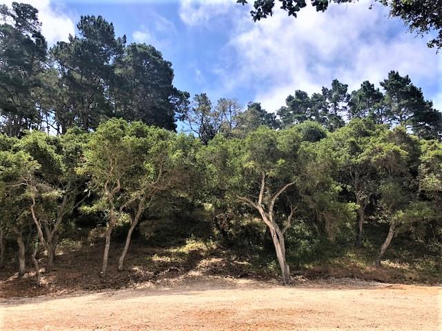 7830 Monterra Oaks Road (Lot 104), MONTEREY, California 93940, ,Lots And Land,For Sale,Monterra Oaks Road (Lot 104),40964936