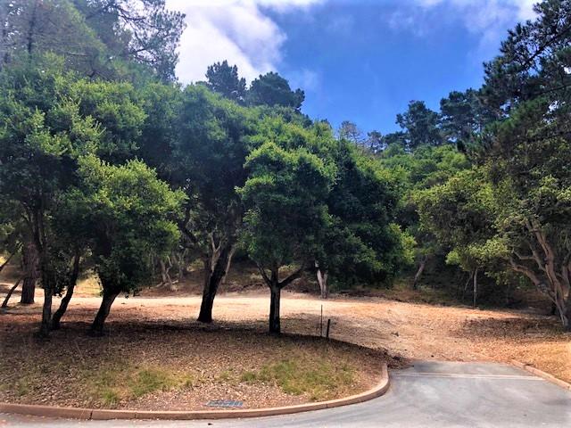 7830 Monterra Oaks Road (Lot 104), MONTEREY, California 93940, ,Lots And Land,For Sale,Monterra Oaks Road (Lot 104),40964936