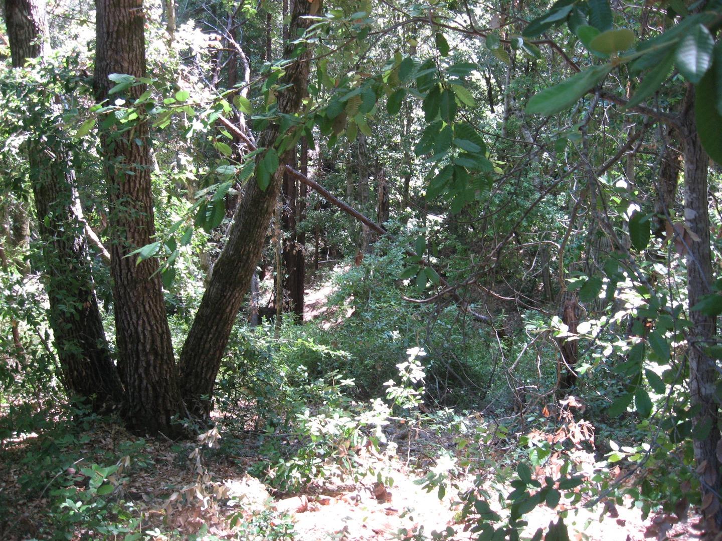 216 Everest Drive, BOULDER CREEK, California 95006, ,Lots And Land,For Sale,Everest Drive,40964403