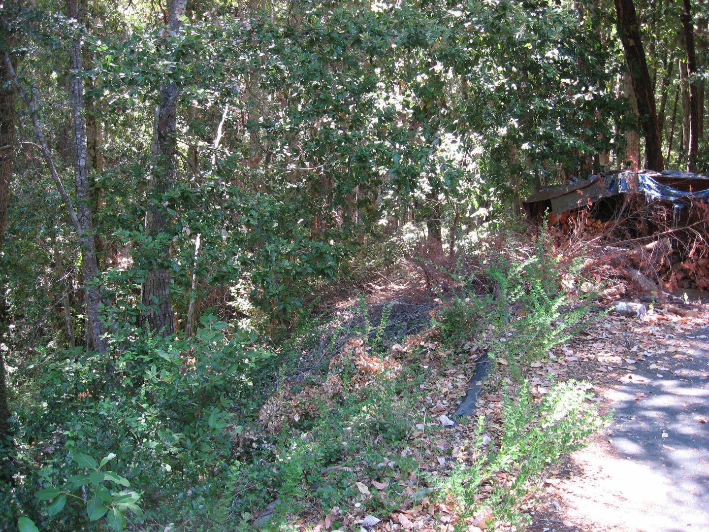 216 Everest Drive, BOULDER CREEK, California 95006, ,Lots And Land,For Sale,Everest Drive,40964403