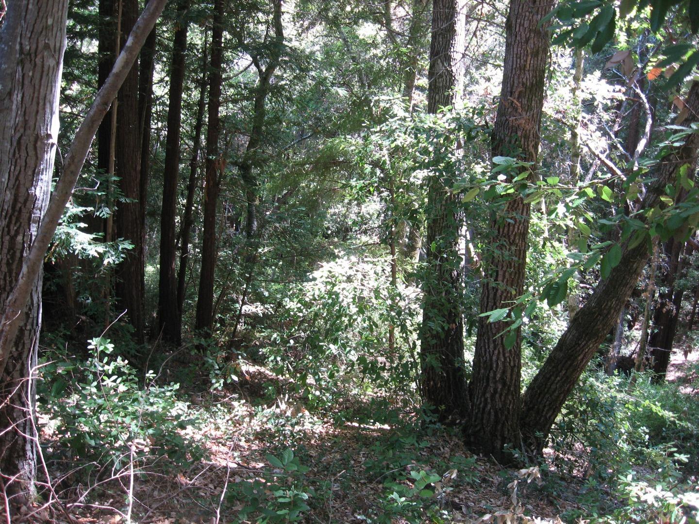 216 Everest Drive, BOULDER CREEK, California 95006, ,Lots And Land,For Sale,Everest Drive,40964403