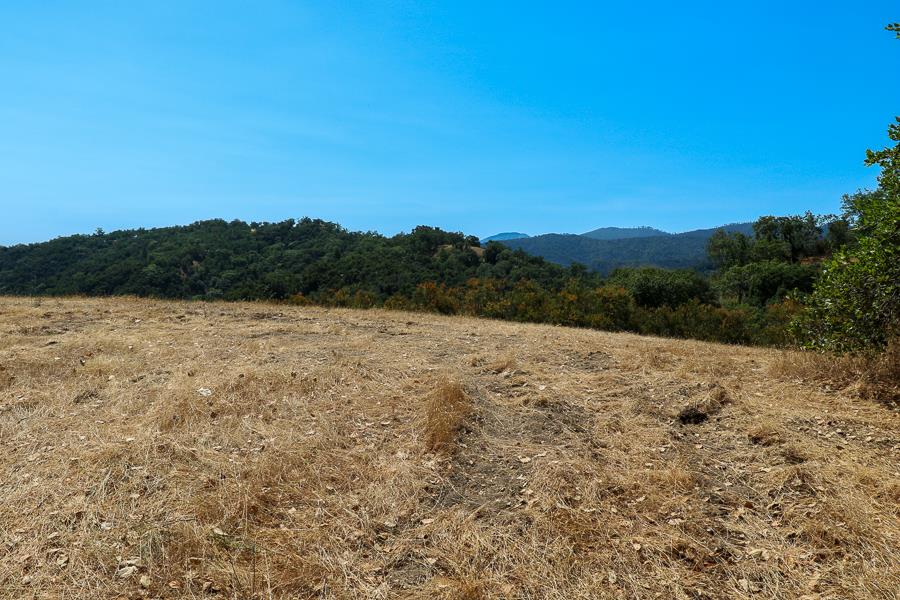 7 Long Ridge Trail, CARMEL VALLEY, California 93923, ,Lots And Land,For Sale,Long Ridge Trail,40965108