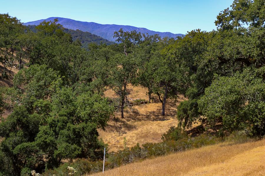 7 Long Ridge Trail, CARMEL VALLEY, California 93923, ,Lots And Land,For Sale,Long Ridge Trail,40965108