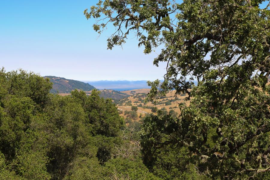 7 Long Ridge Trail, CARMEL VALLEY, California 93923, ,Lots And Land,For Sale,Long Ridge Trail,40965108