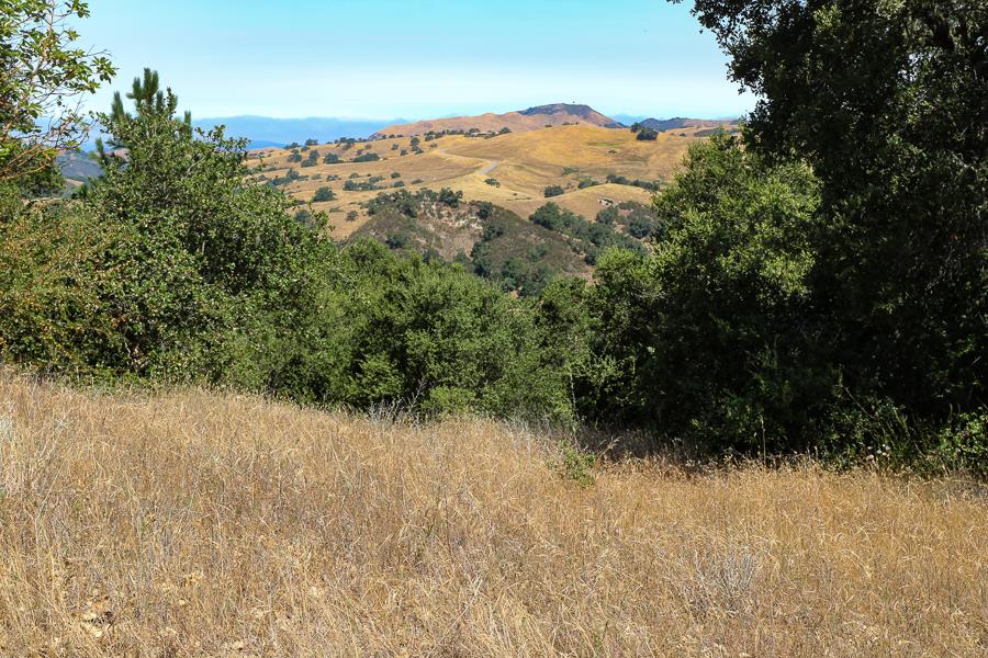 7 Long Ridge Trail, CARMEL VALLEY, California 93923, ,Lots And Land,For Sale,Long Ridge Trail,40965108