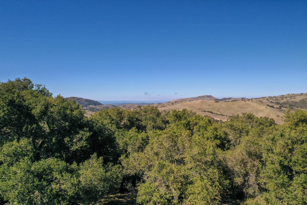 7 Long Ridge Trail, CARMEL VALLEY, California 93923, ,Lots And Land,For Sale,Long Ridge Trail,40965108