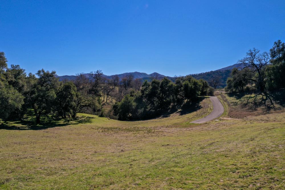 7 Long Ridge Trail, CARMEL VALLEY, California 93923, ,Lots And Land,For Sale,Long Ridge Trail,40965108
