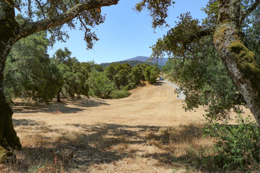 7 Long Ridge Trail, CARMEL VALLEY, California 93923, ,Lots And Land,For Sale,Long Ridge Trail,40965108