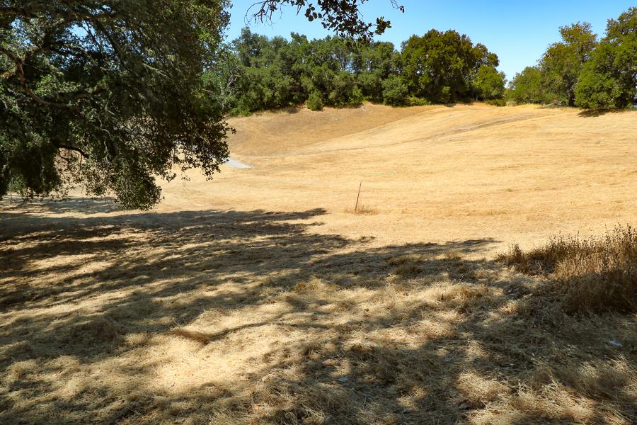 7 Long Ridge Trail, CARMEL VALLEY, California 93923, ,Lots And Land,For Sale,Long Ridge Trail,40965108