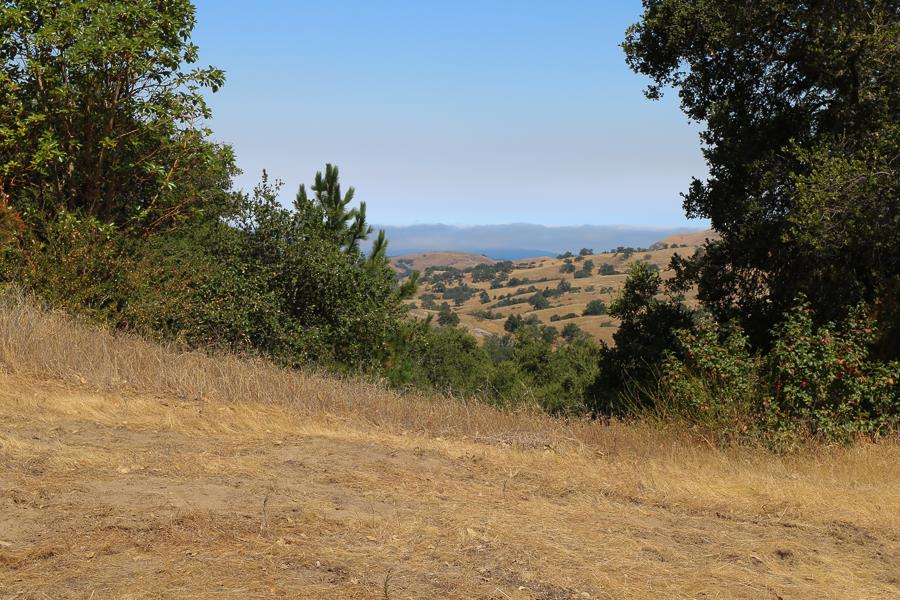 7 Long Ridge Trail, CARMEL VALLEY, California 93923, ,Lots And Land,For Sale,Long Ridge Trail,40965108
