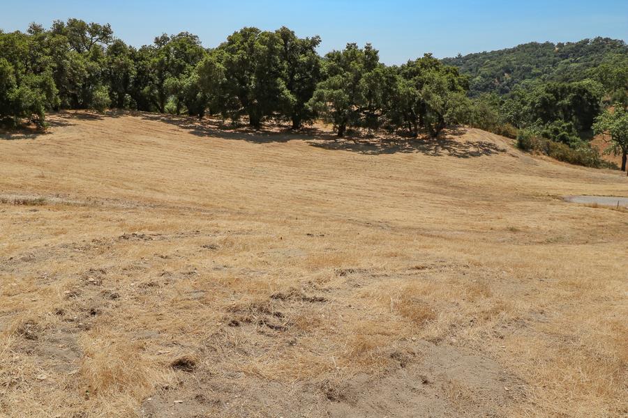 7 Long Ridge Trail, CARMEL VALLEY, California 93923, ,Lots And Land,For Sale,Long Ridge Trail,40965108