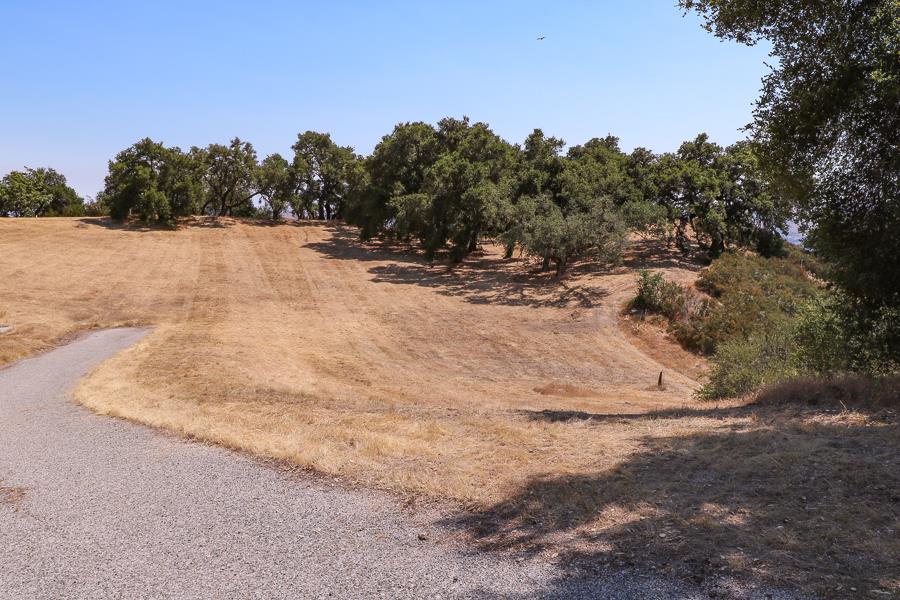 7 Long Ridge Trail, CARMEL VALLEY, California 93923, ,Lots And Land,For Sale,Long Ridge Trail,40965108