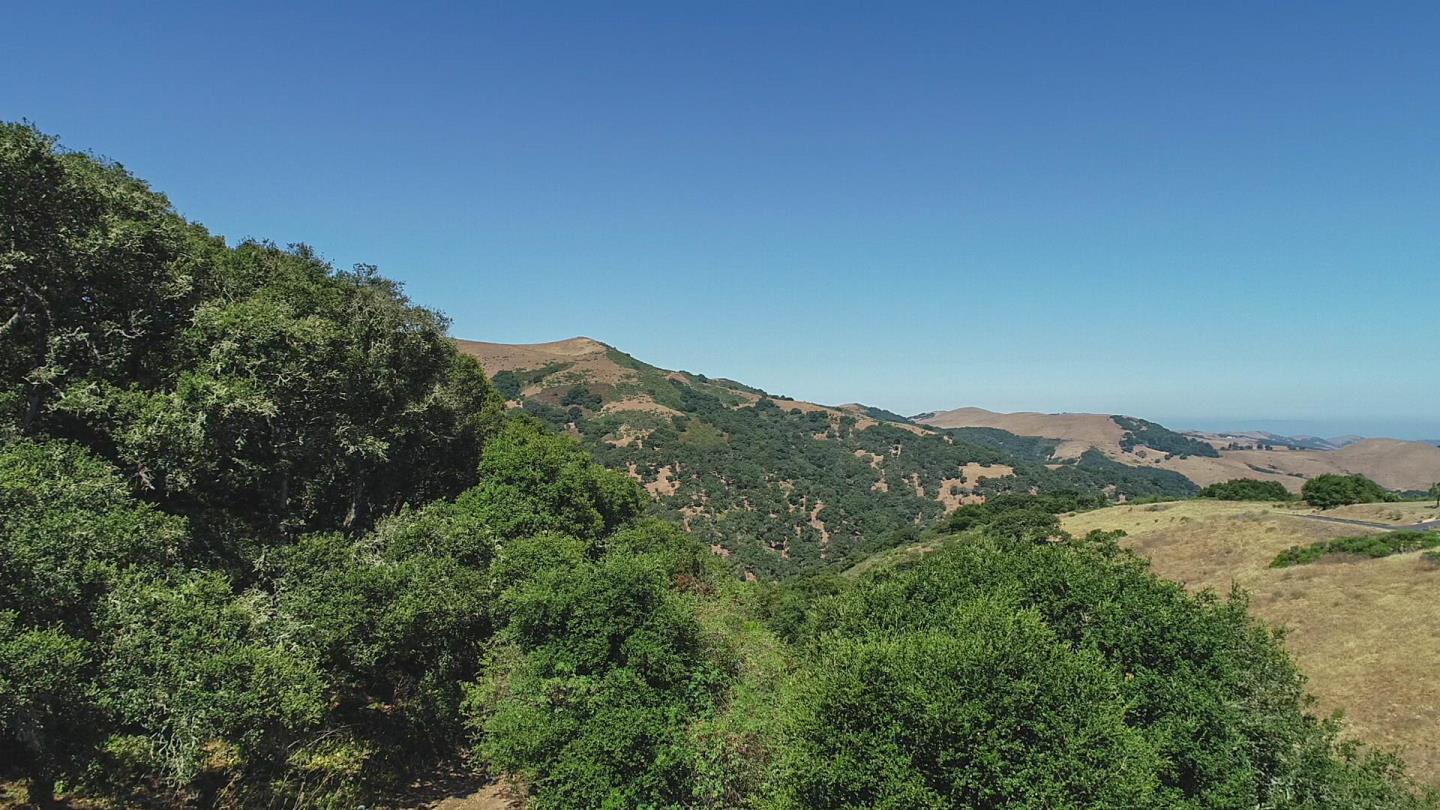 2700 Quinn Canyon Road, SAN JUAN BAUTISTA, California 95045, ,Lots And Land,For Sale,Quinn Canyon Road,40963950