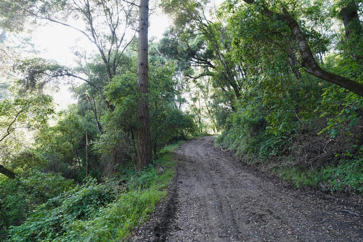 000 Cathedral Drive, APTOS, California 95003, ,Lots And Land,For Sale,Cathedral Drive,40964714