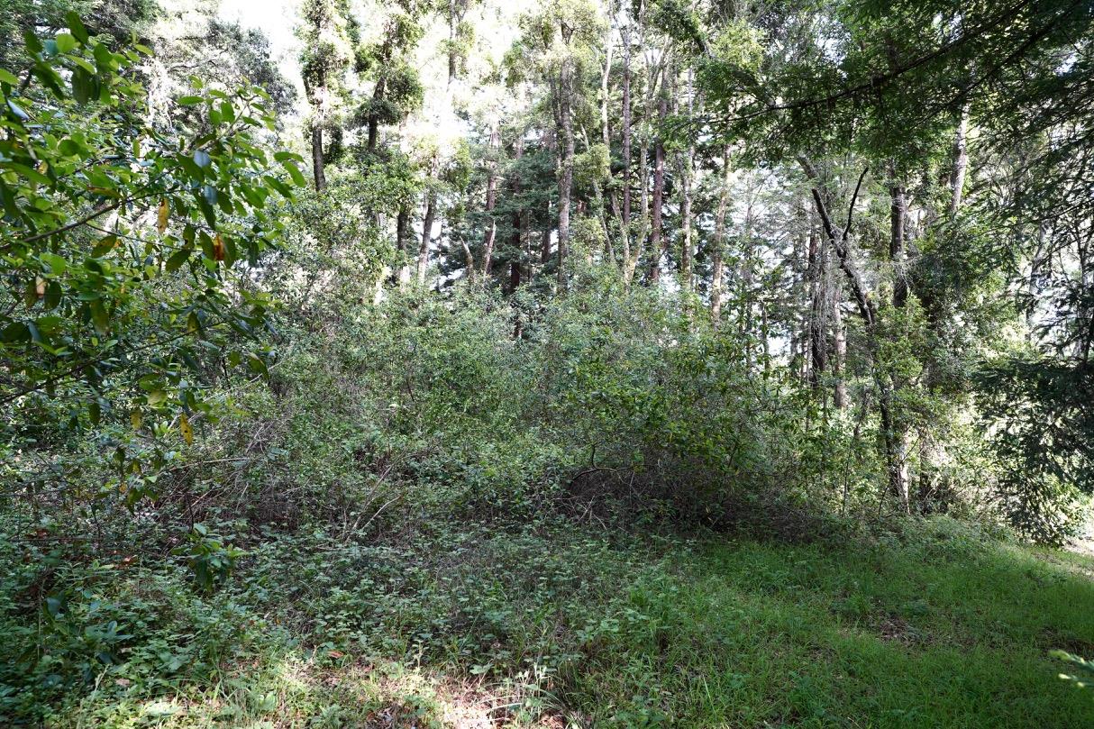 000 Cathedral Drive, APTOS, California 95003, ,Lots And Land,For Sale,Cathedral Drive,40964714