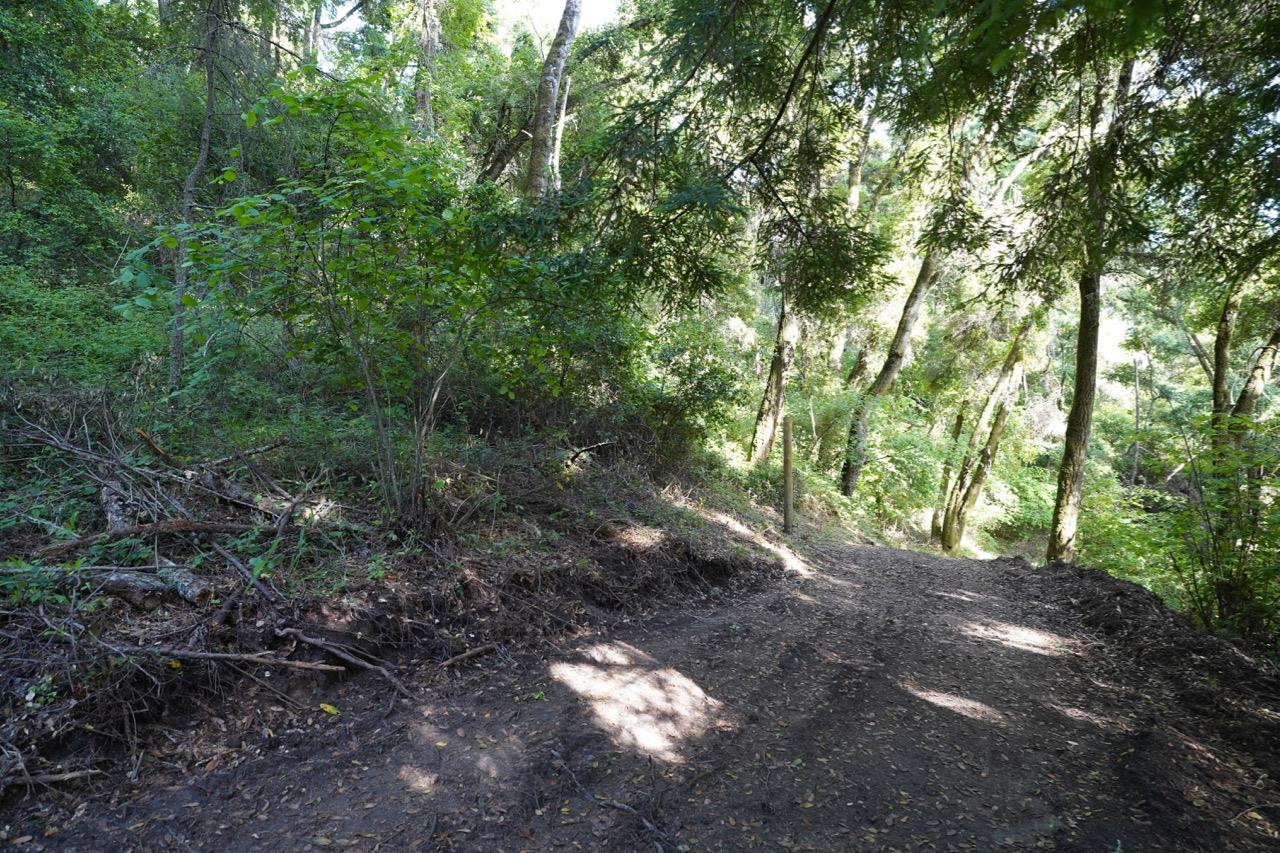 000 Cathedral Drive, APTOS, California 95003, ,Lots And Land,For Sale,Cathedral Drive,40964714