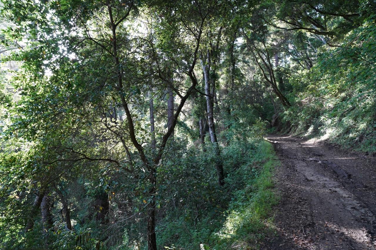 000 Cathedral Drive, APTOS, California 95003, ,Lots And Land,For Sale,Cathedral Drive,40964714