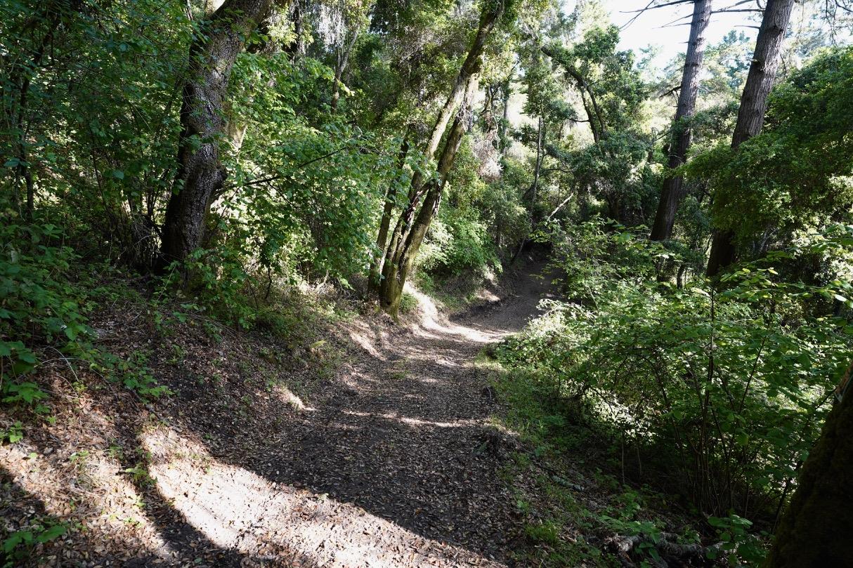 000 Cathedral Drive, APTOS, California 95003, ,Lots And Land,For Sale,Cathedral Drive,40964714