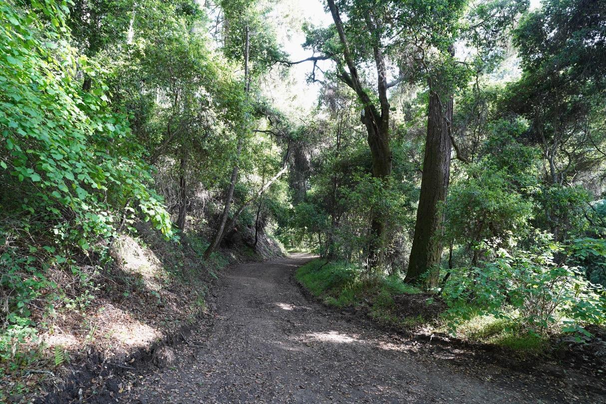 000 Cathedral Drive, APTOS, California 95003, ,Lots And Land,For Sale,Cathedral Drive,40964714