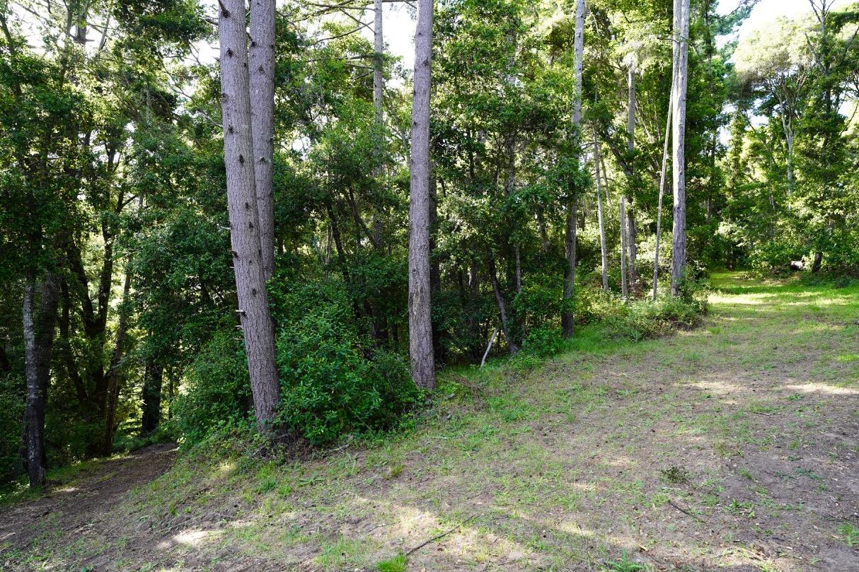 000 Cathedral Drive, APTOS, California 95003, ,Lots And Land,For Sale,Cathedral Drive,40964714