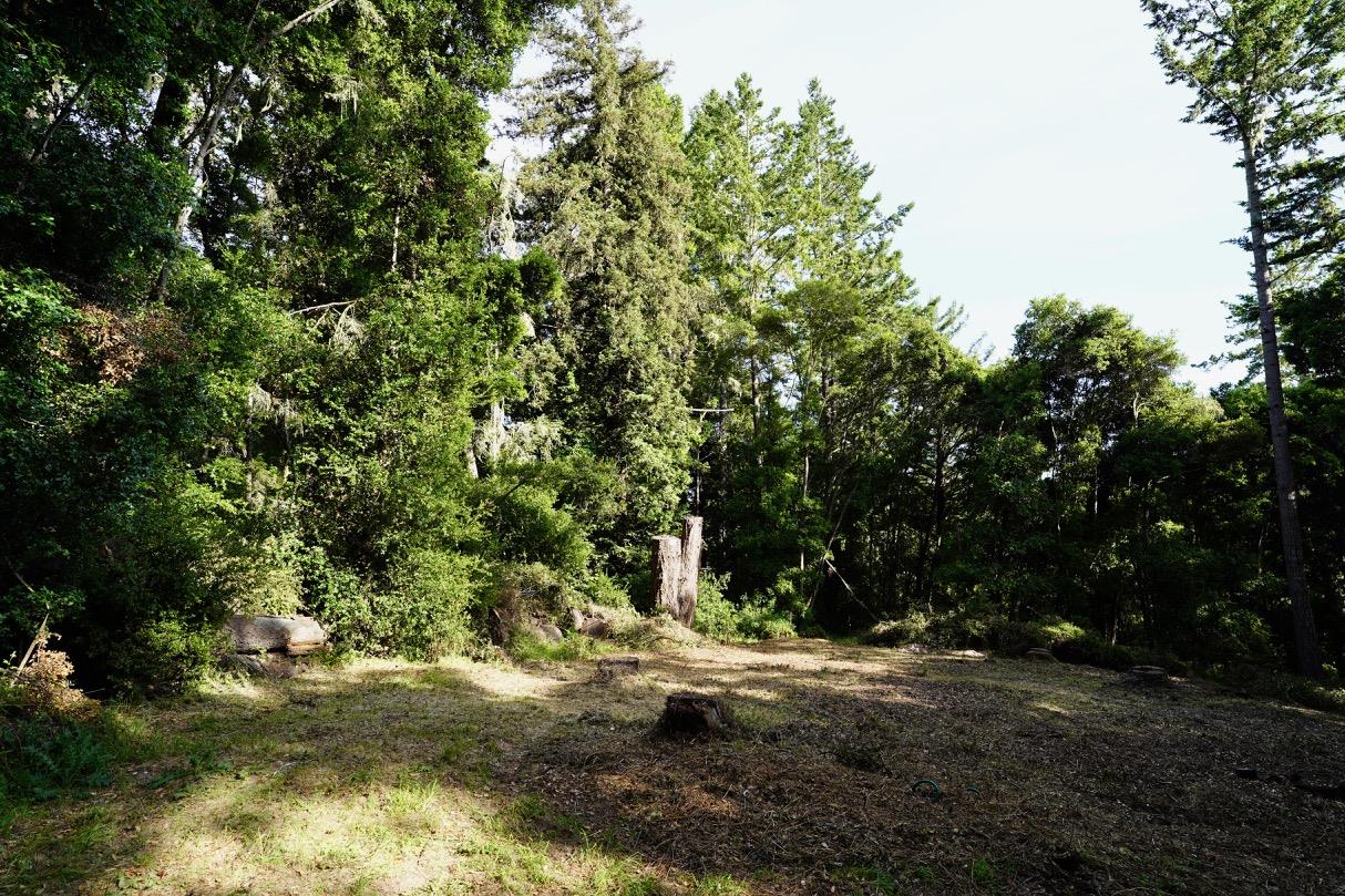 000 Cathedral Drive, APTOS, California 95003, ,Lots And Land,For Sale,Cathedral Drive,40964714