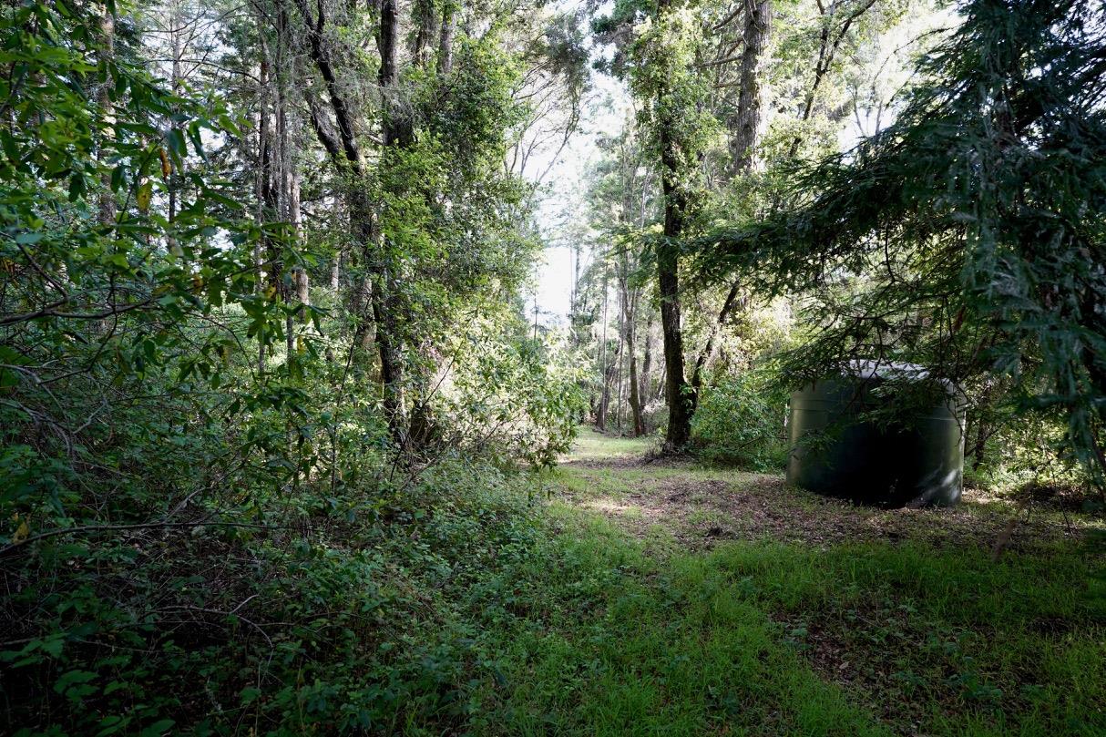 000 Cathedral Drive, APTOS, California 95003, ,Lots And Land,For Sale,Cathedral Drive,40964714