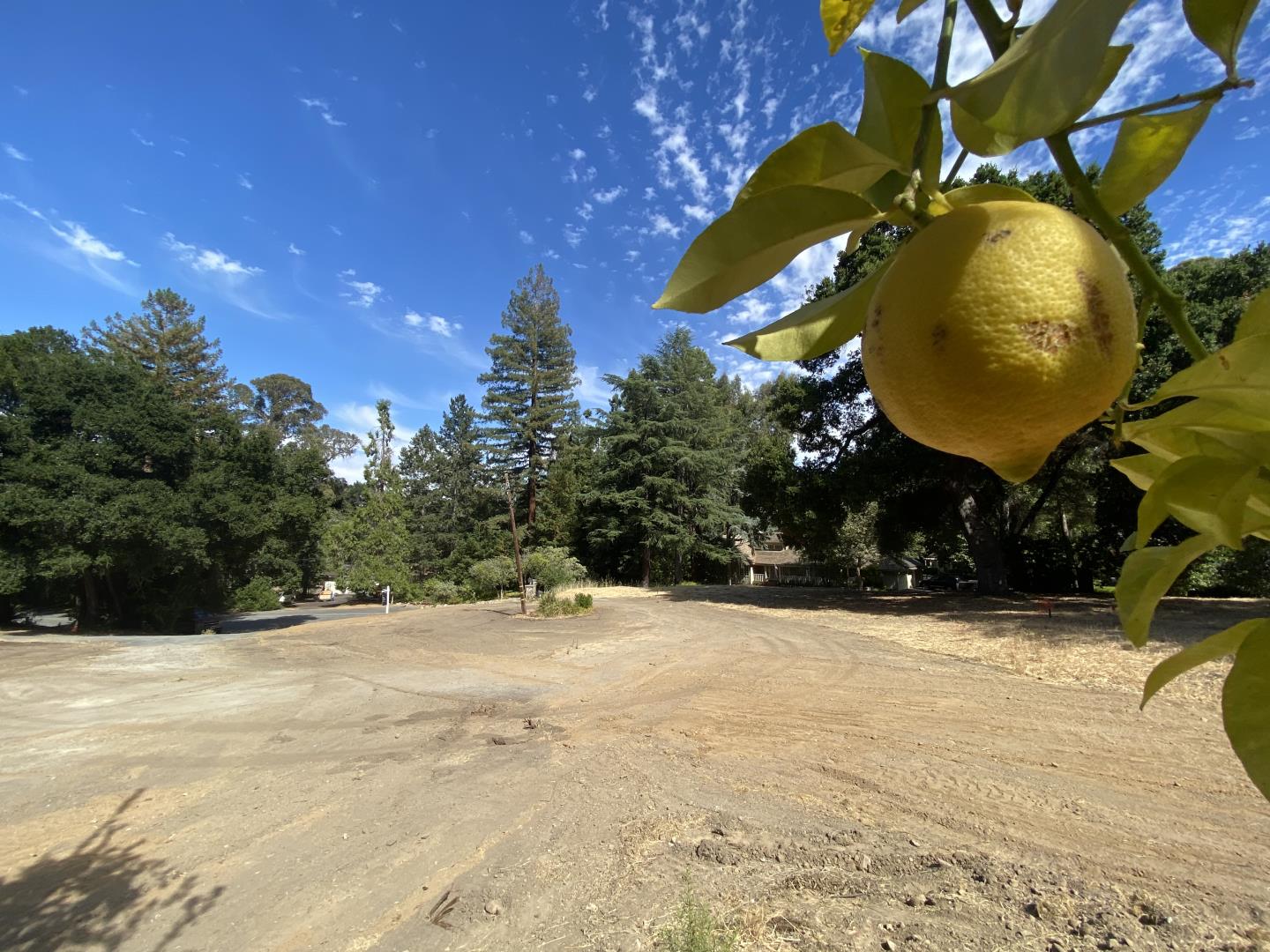 20625 LOT2 Brookwood Lane, SARATOGA, California 95070, ,Lots And Land,For Sale,Brookwood Lane,40963561