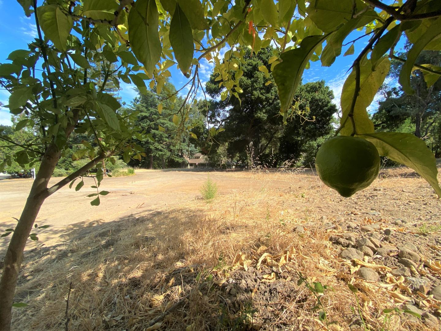 20625 LOT2 Brookwood Lane, SARATOGA, California 95070, ,Lots And Land,For Sale,Brookwood Lane,40963561