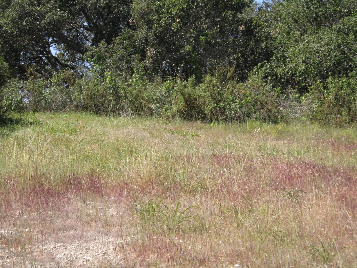 27155 Upper Forty Drive, CARMEL VALLEY, California 93924, ,Lots And Land,For Sale,Upper Forty Drive,40963528