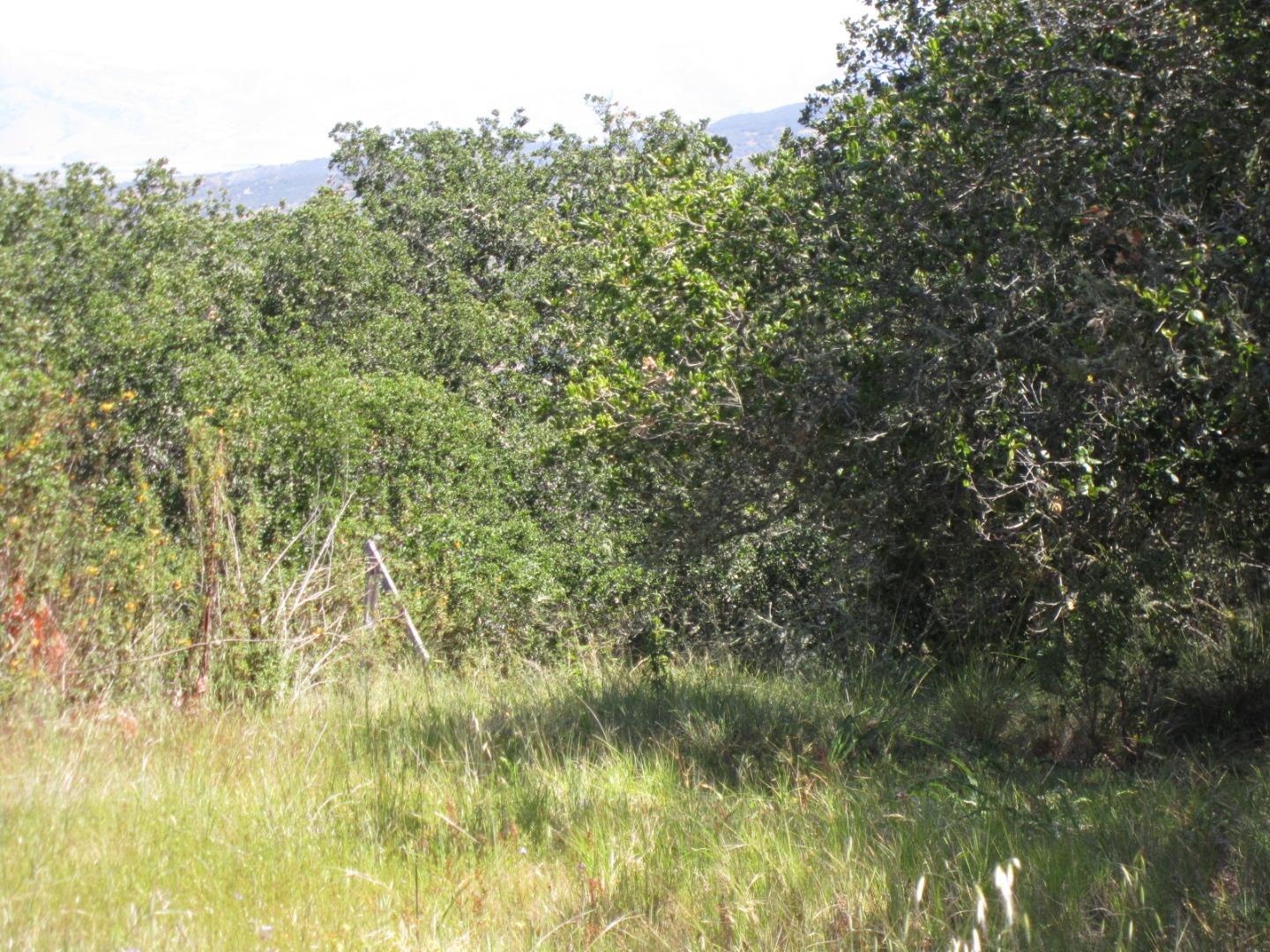27155 Upper Forty Drive, CARMEL VALLEY, California 93924, ,Lots And Land,For Sale,Upper Forty Drive,40963528