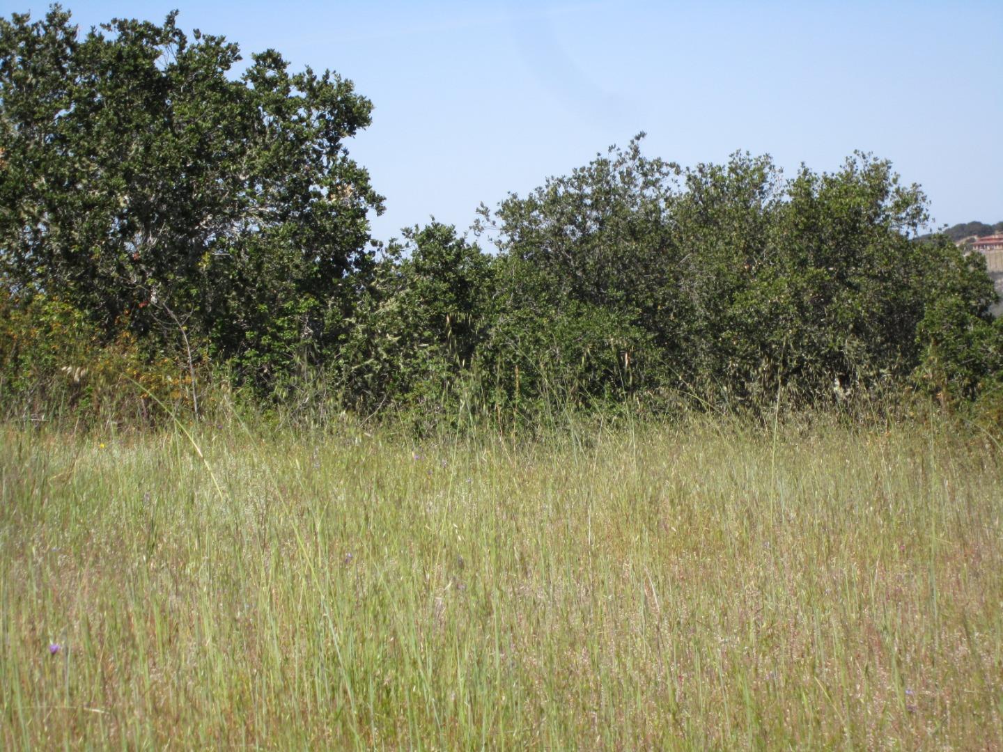 27155 Upper Forty Drive, CARMEL VALLEY, California 93924, ,Lots And Land,For Sale,Upper Forty Drive,40963528