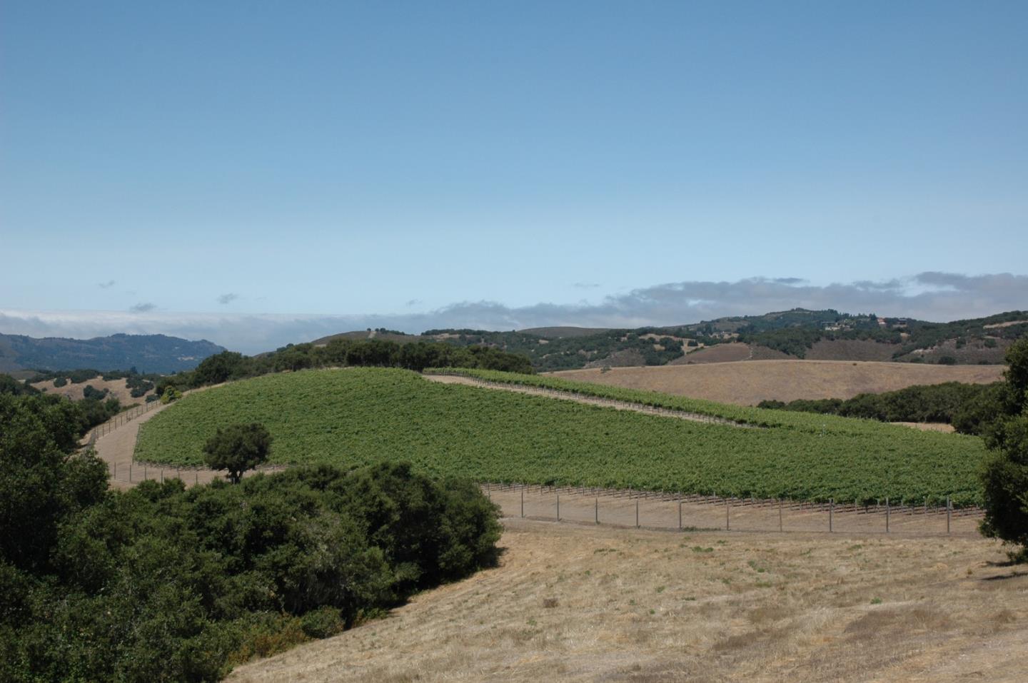 10255 Calle De Robles, CARMEL VALLEY, California 93924, ,Lots And Land,For Sale,Calle De Robles,40963033