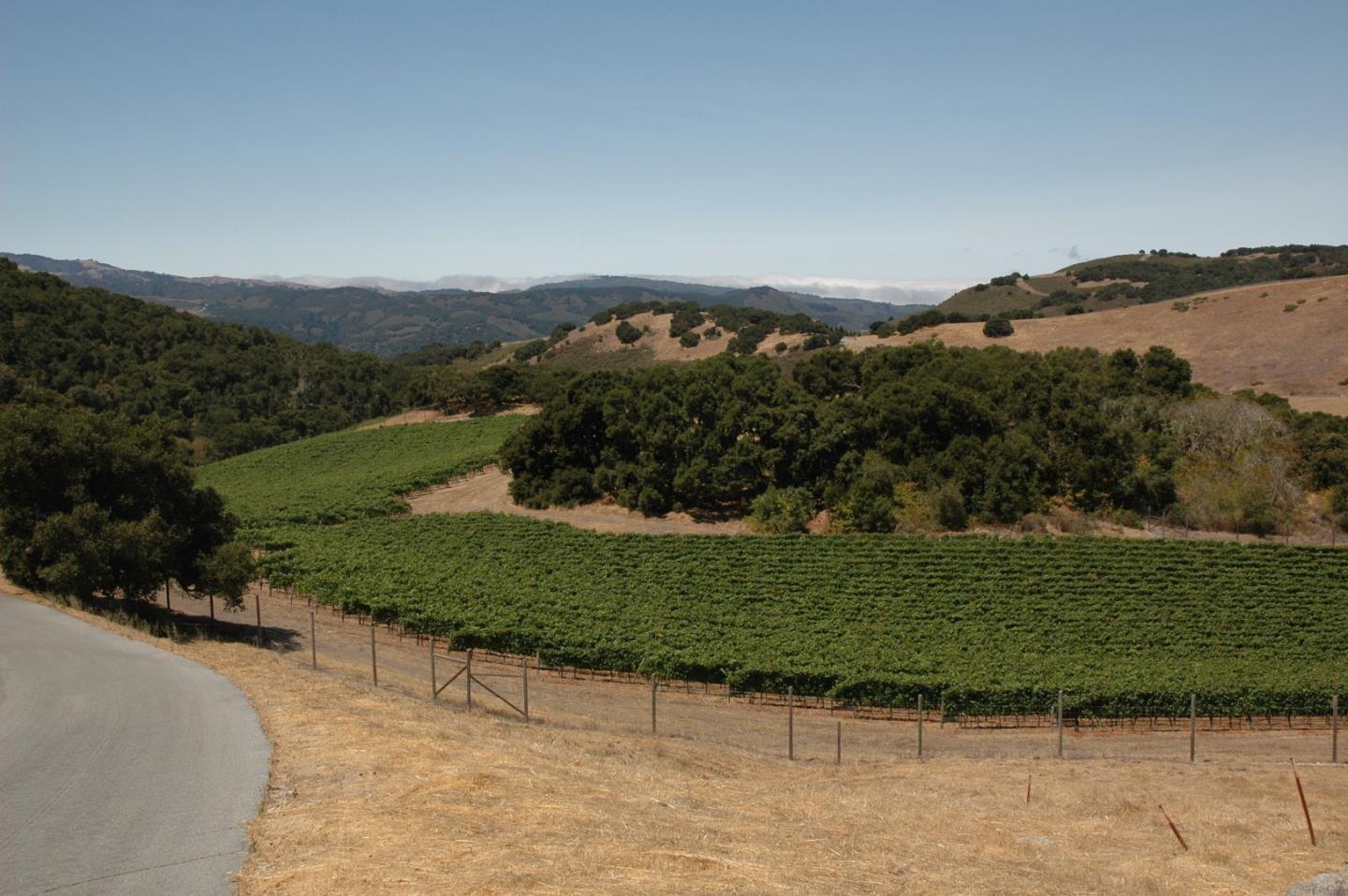 10255 Calle De Robles, CARMEL VALLEY, California 93924, ,Lots And Land,For Sale,Calle De Robles,40963033