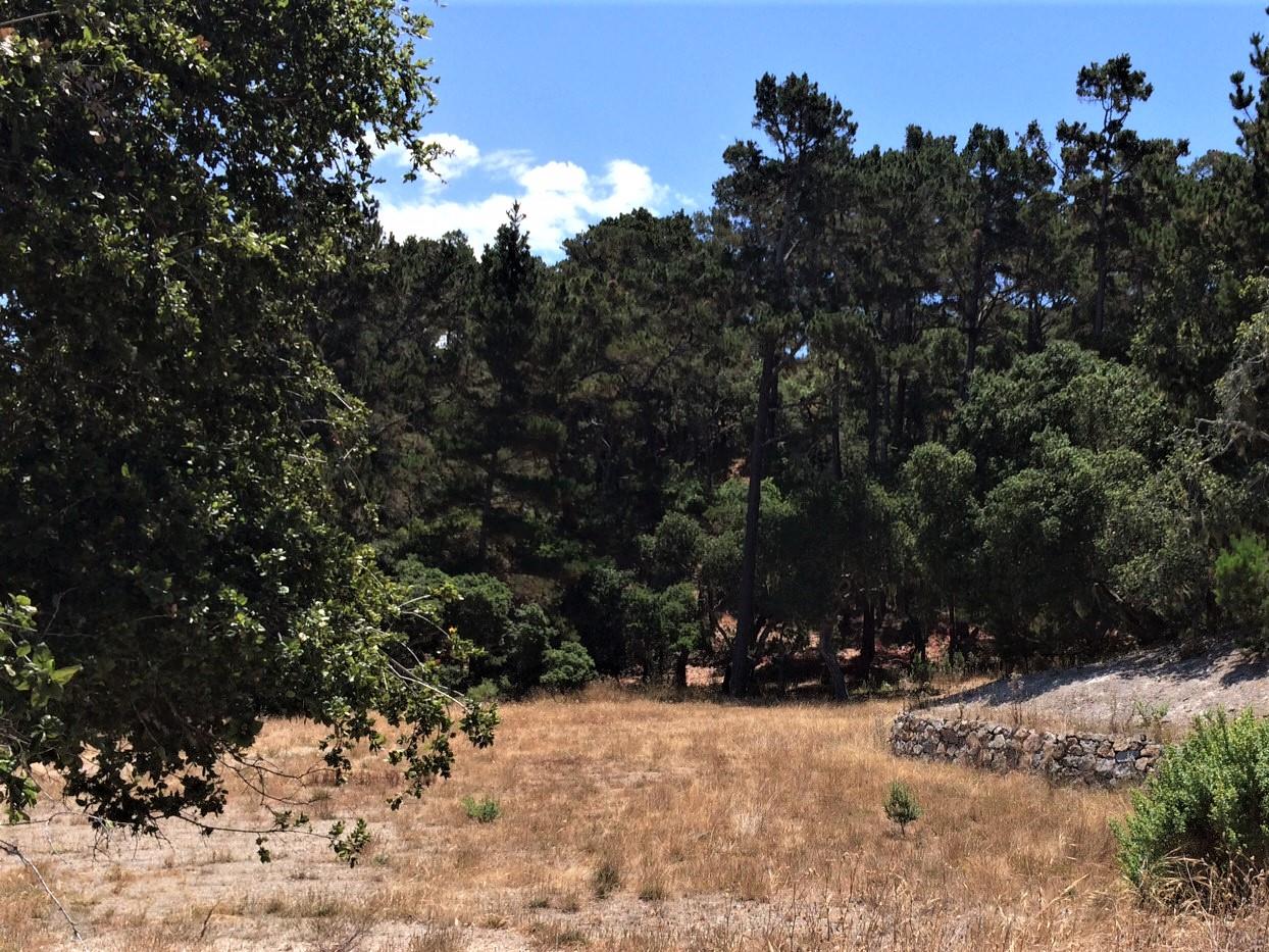 7599 Paseo Vista (Lot 75), MONTEREY, California 93940, ,Lots And Land,For Sale,Paseo Vista (Lot 75),40963726