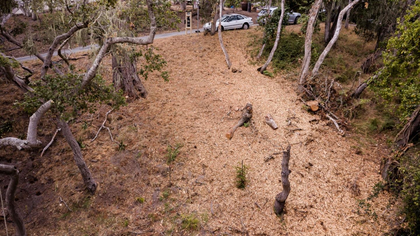 930 Madison Street, MONTEREY, California 93940, ,Lots And Land,For Sale,Madison Street,40961948