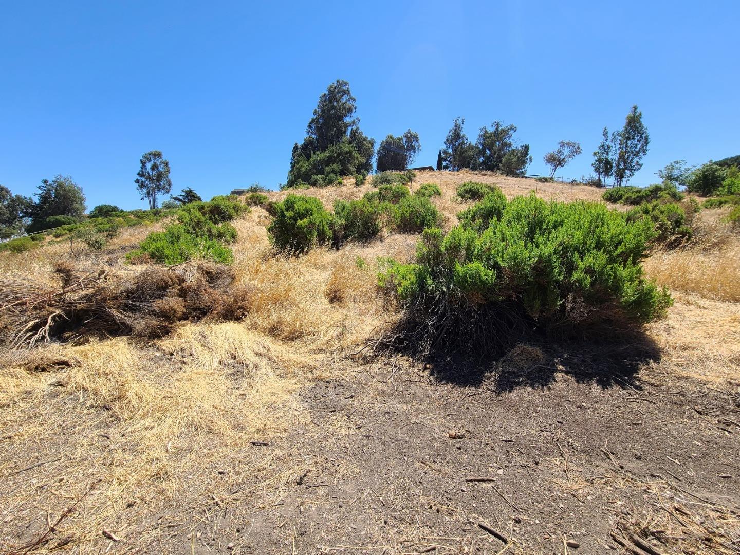 51230 Oak Hills Road, KING CITY, California 93930, ,Lots And Land,For Sale,Oak Hills Road,40962206