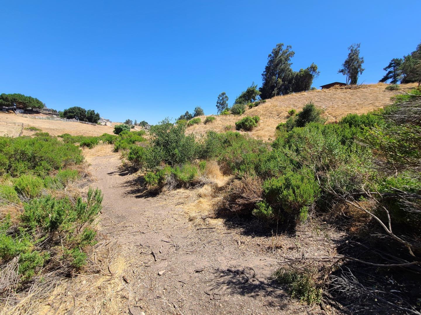 51230 Oak Hills Road, KING CITY, California 93930, ,Lots And Land,For Sale,Oak Hills Road,40962206