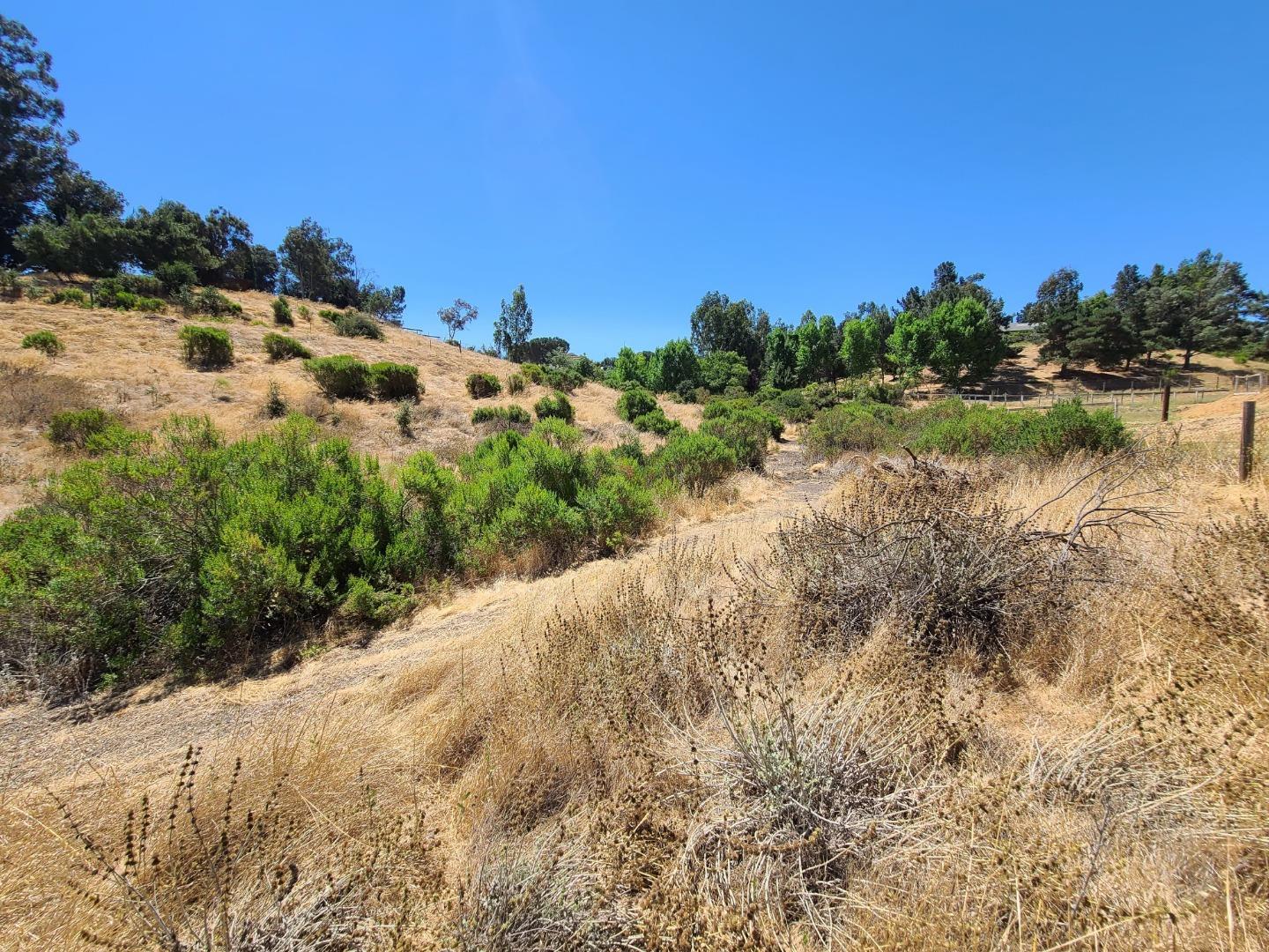 51230 Oak Hills Road, KING CITY, California 93930, ,Lots And Land,For Sale,Oak Hills Road,40962206