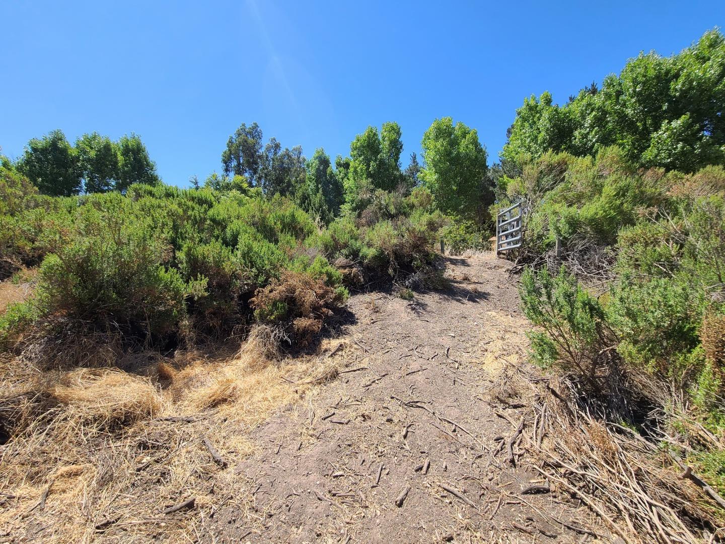 51230 Oak Hills Road, KING CITY, California 93930, ,Lots And Land,For Sale,Oak Hills Road,40962206