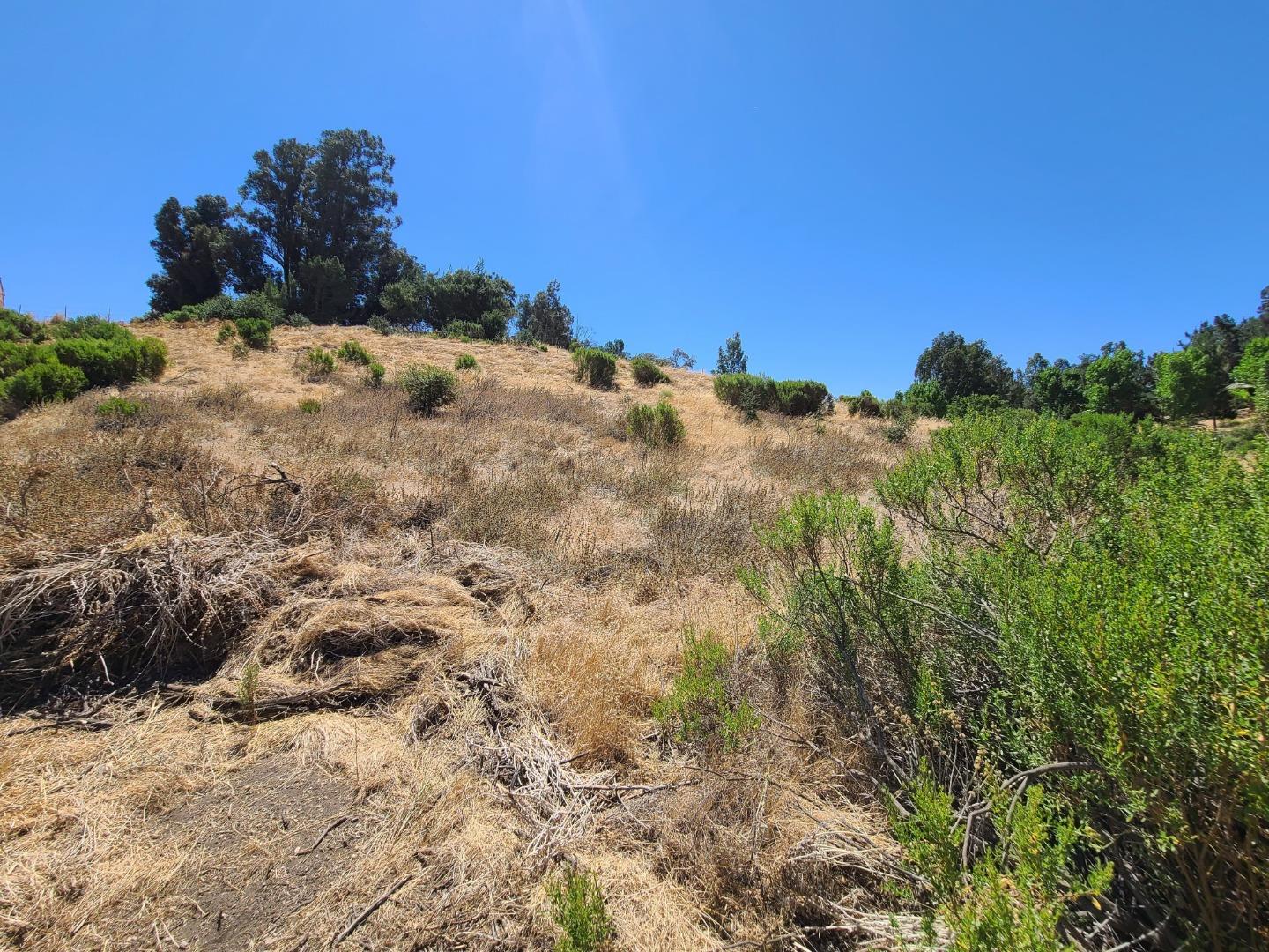 51230 Oak Hills Road, KING CITY, California 93930, ,Lots And Land,For Sale,Oak Hills Road,40962206