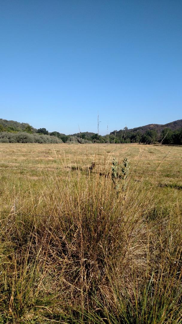 6030 Scotts Valley Road, LAKEPORT, California 95453, ,Lots And Land,For Sale,Scotts Valley Road,40962172