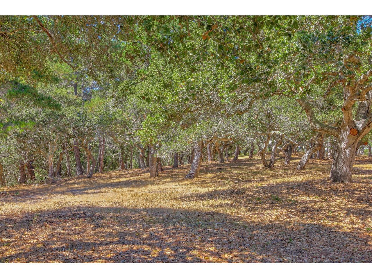 25600 Via Malpaso (Lot 84), CARMEL, California 93923, ,Lots And Land,For Sale,Via Malpaso (Lot 84),40963427