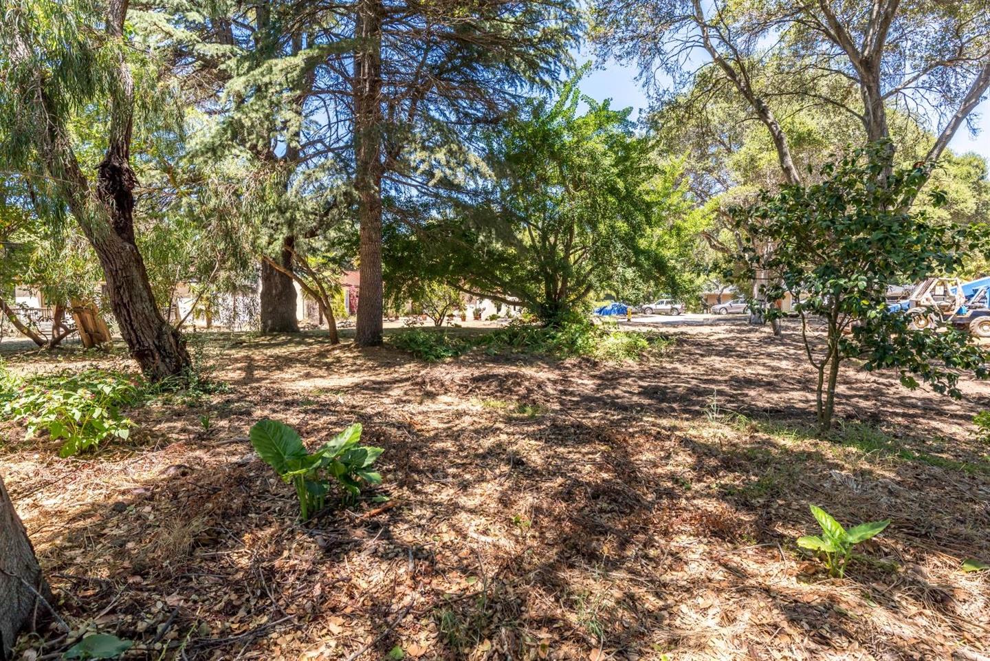 0 Vista Branciforte, SANTA CRUZ, California 95065, ,Lots And Land,For Sale,Vista Branciforte,40962119