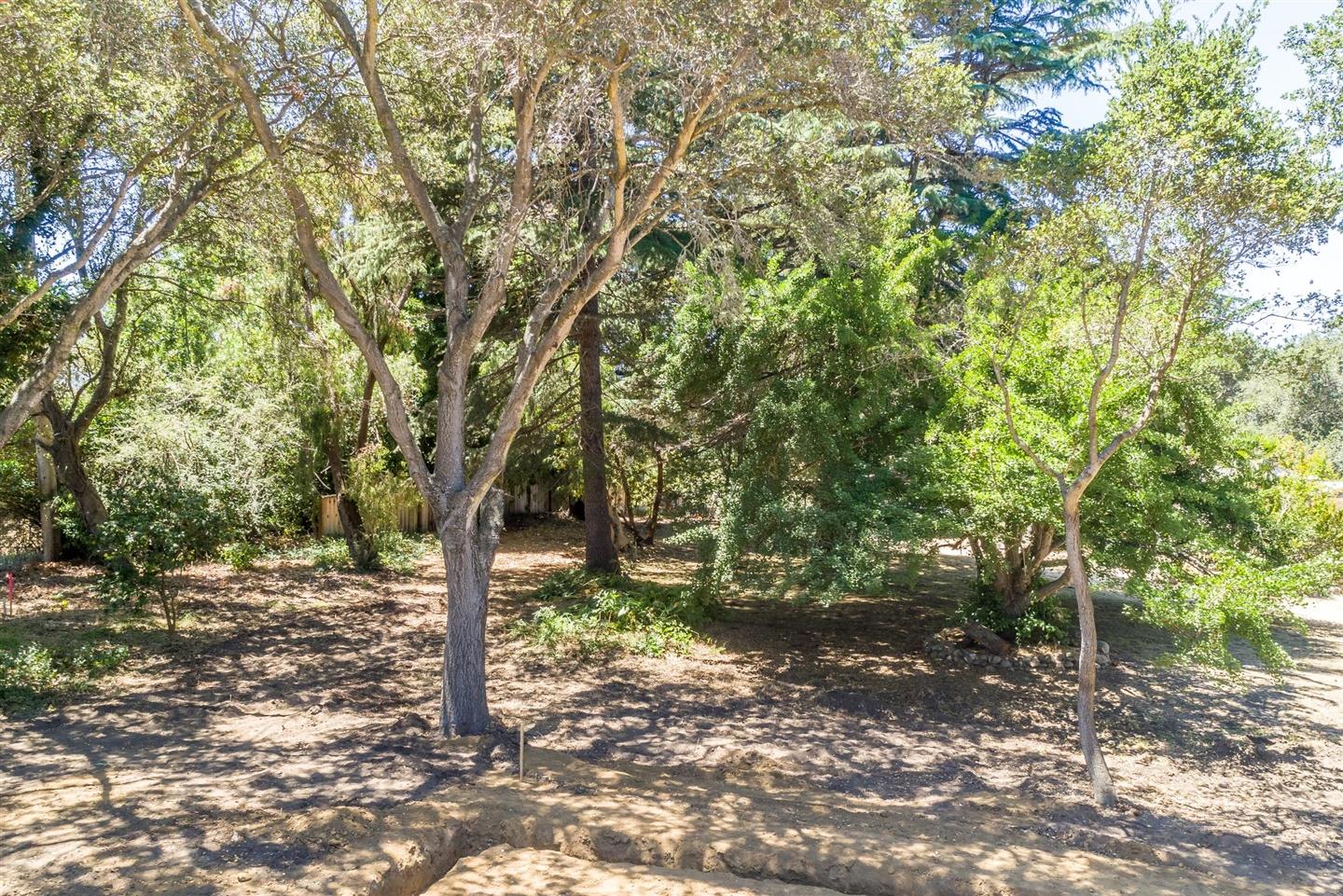 0 Vista Branciforte, SANTA CRUZ, California 95065, ,Lots And Land,For Sale,Vista Branciforte,40962119