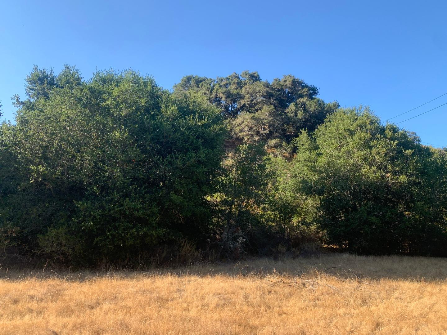 0 Corral de Tierra Road, OTHER - SEE REMARKS, California 93908, ,Lots And Land,For Sale,Corral de Tierra Road,40962053